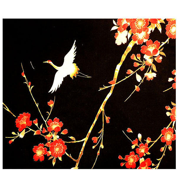 Yukata Kimono cherry blossom black and red