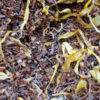 Rooibos Bourbon