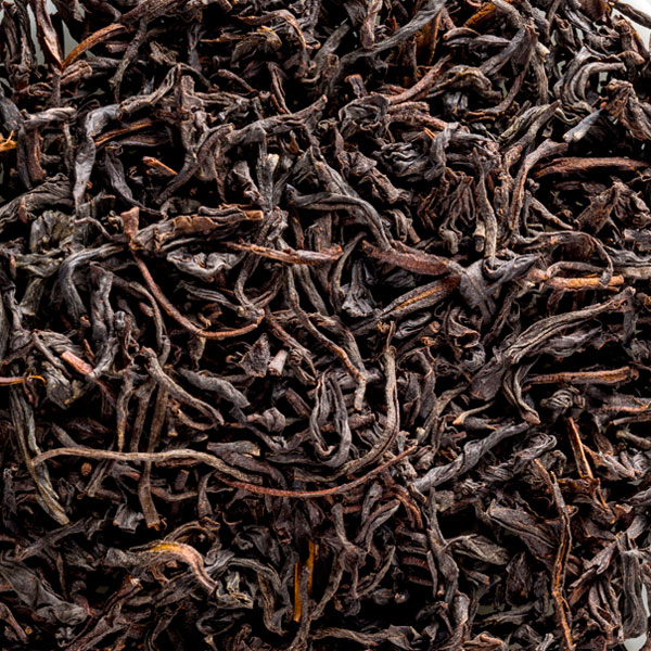 Ceylon_indulgashinna-Bio_OP