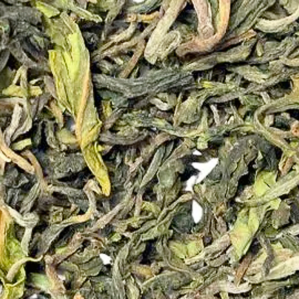Darjeeling-Puttabong-Flugtee_2024