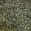 Gyokuro_Kagoshima_Bio