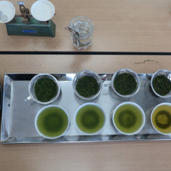 Japan-2018-teatasting