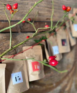 Teeadventskalender7