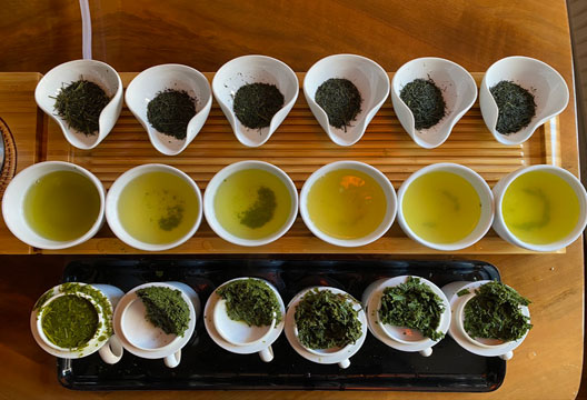 Teeseminar_Degustation