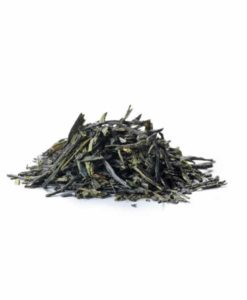 sirocco_tee_japanese_sencha_lose