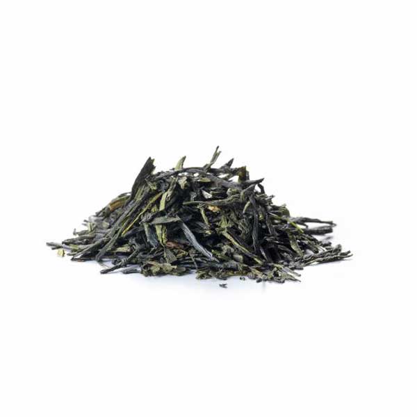 sirocco_tee_japanese_sencha_lose