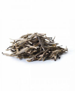 Sirocco White Silver Needle Blatt