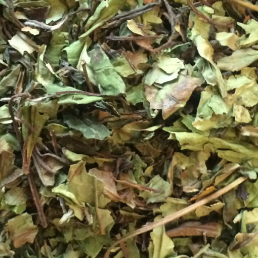 Pai Mu Tan Bio