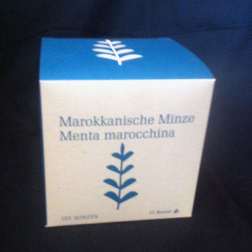 Marokkanische Minze Bio Pyramidenbeutel