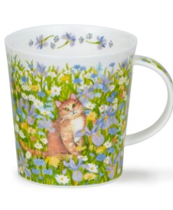 Lomond_Garden_Cats_Ginger