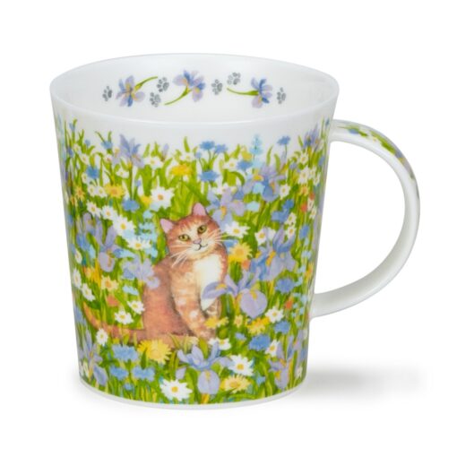 Lomond_Garden_Cats_Ginger